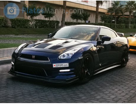 229191, Nissan GT-R