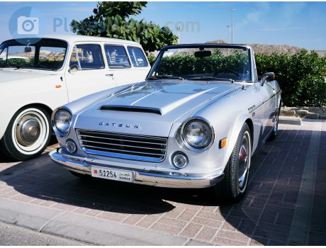 51254, Datsun 1500/1600 Sports