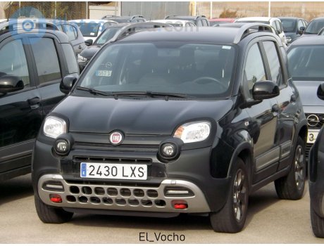 2430 LXS, FIAT Panda