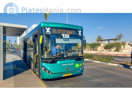 233-96-602, Merkavim Pioneer