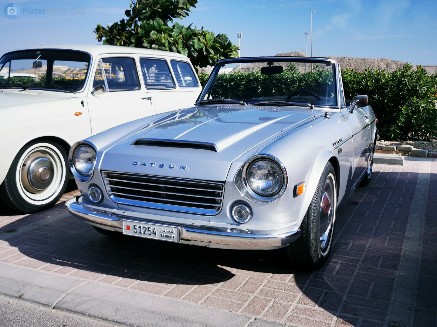 51254, Datsun 1500/1600 Sports 
