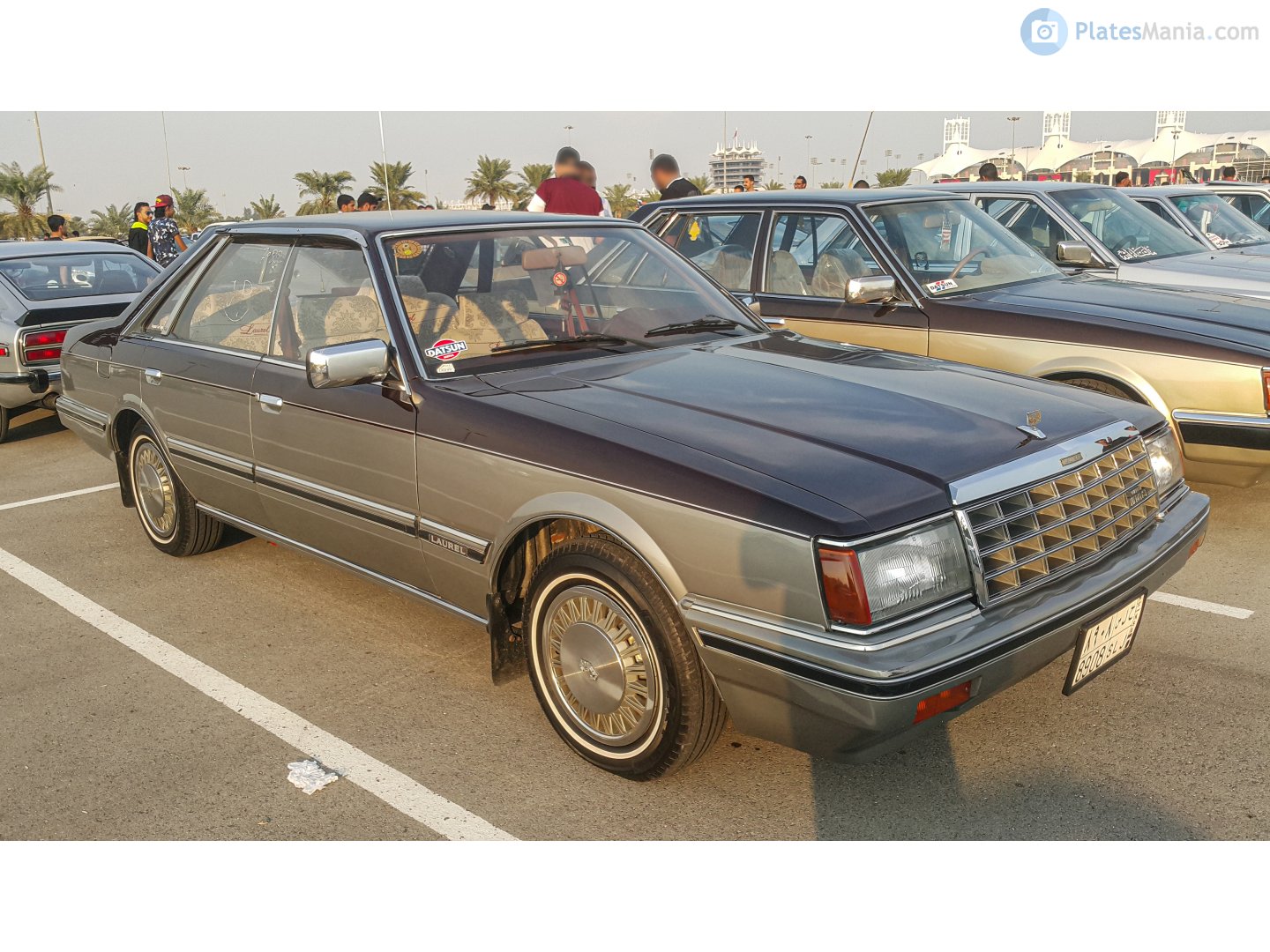 8908 SLJ, Datsun Laurel 4th gen (C31), 1980–1986