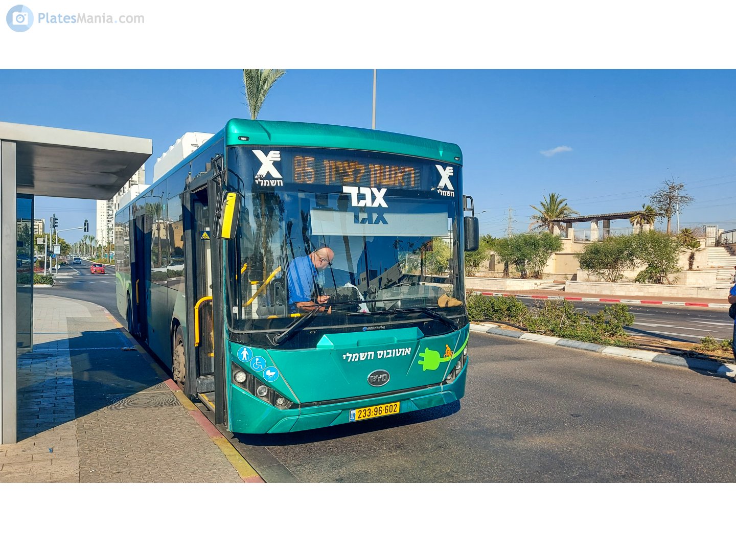 233-96-602, Merkavim Pioneer BYD BC12E01