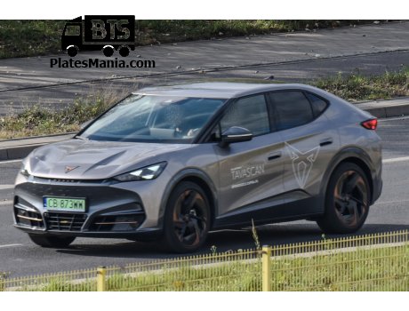 CB 873WW, Cupra Tavascan