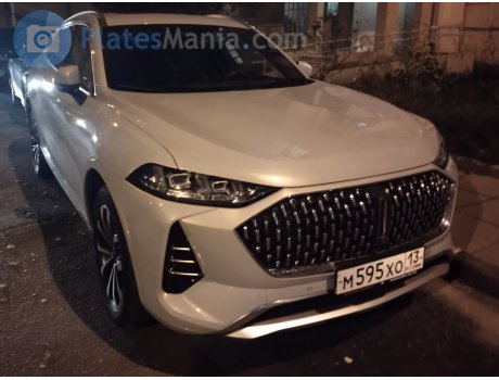 м595хо13, WEY 05 (Mocha/Coffee 01)