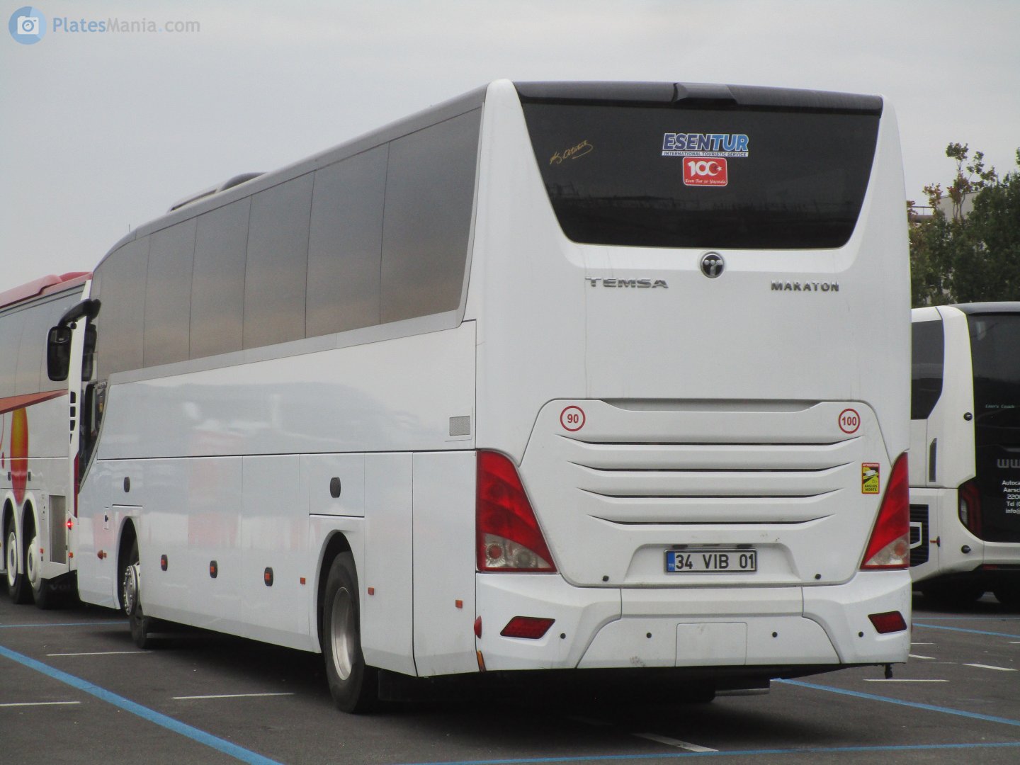 34 VIB 01, TemSA Maraton 