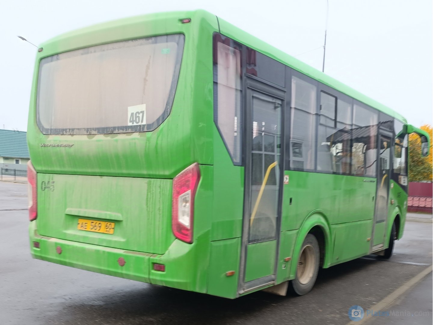 ае 569 60, PAZ 3203/3204 3204 Vector Next, 2016–