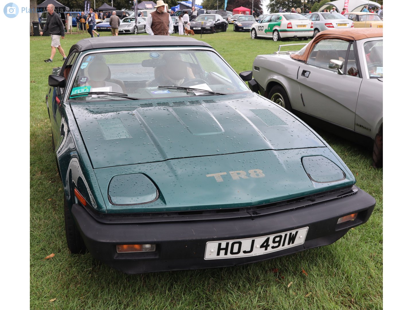 HOJ491W, Triumph TR8 
