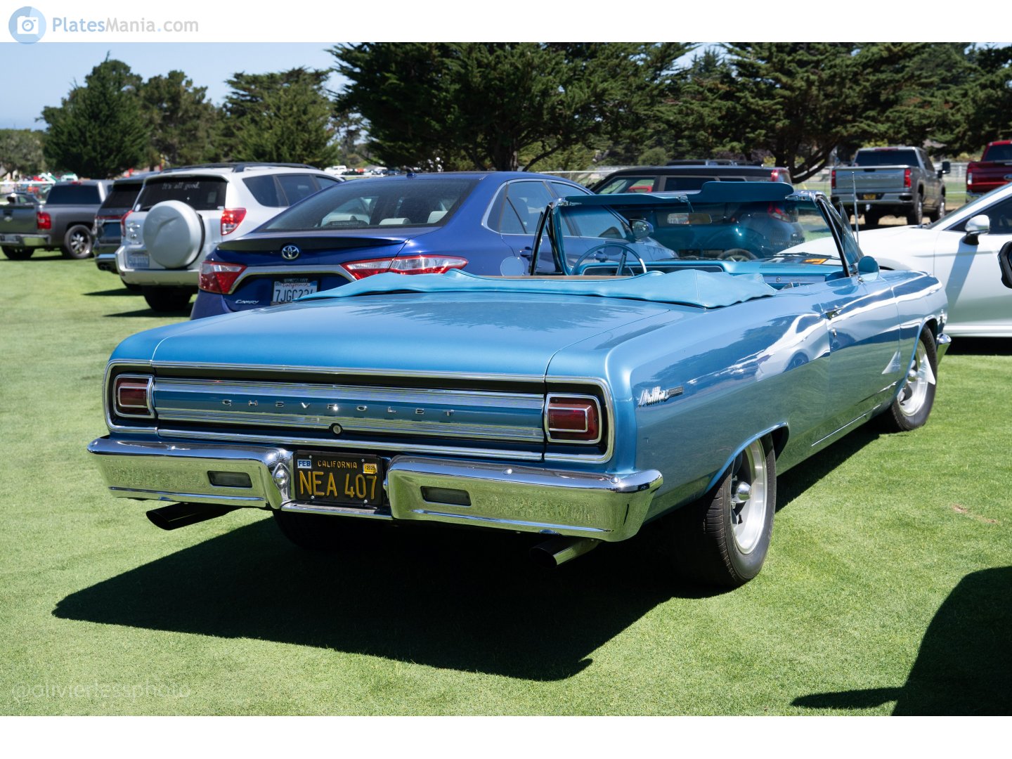 NEA 407, Chevrolet Chevelle 1st gen 1965 2-door Convertible (67; A-body), 1st facelift, 1964–1965