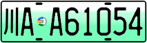 License plate of China, Electric vehicles