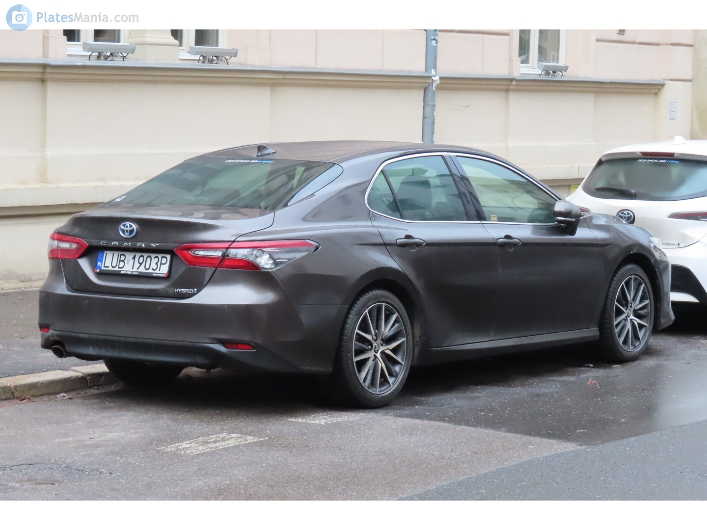 LUB 1903P, Toyota Camry 8th gen (XV70), 2017–