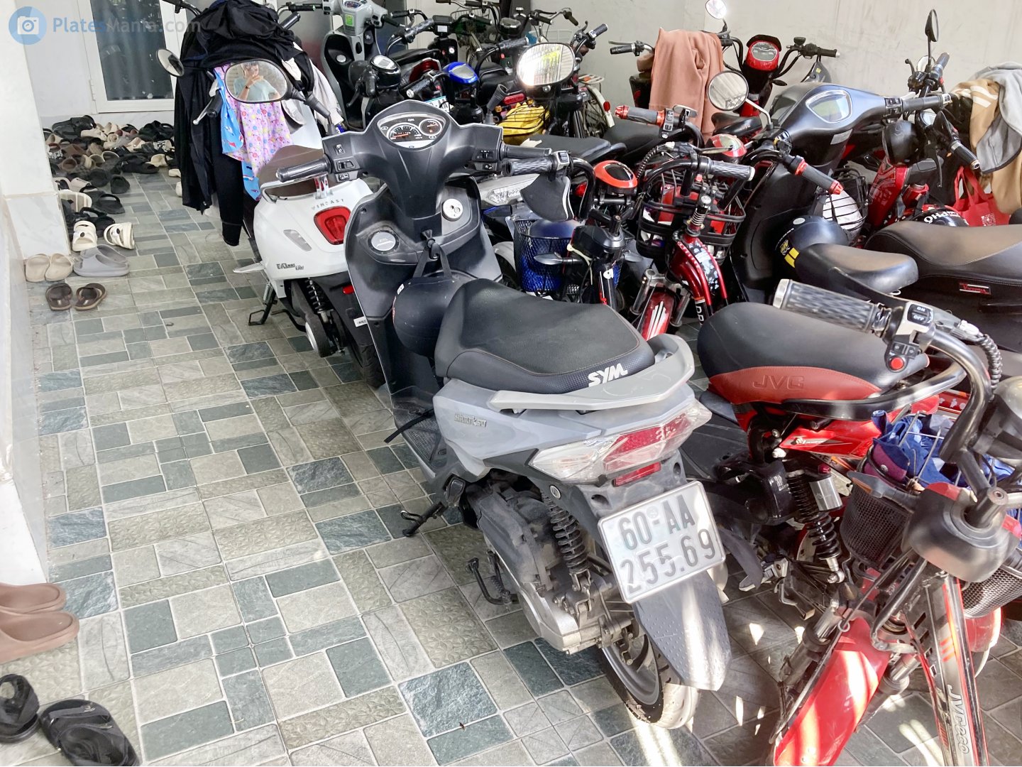 60-AA 255.69, SYM Shark 