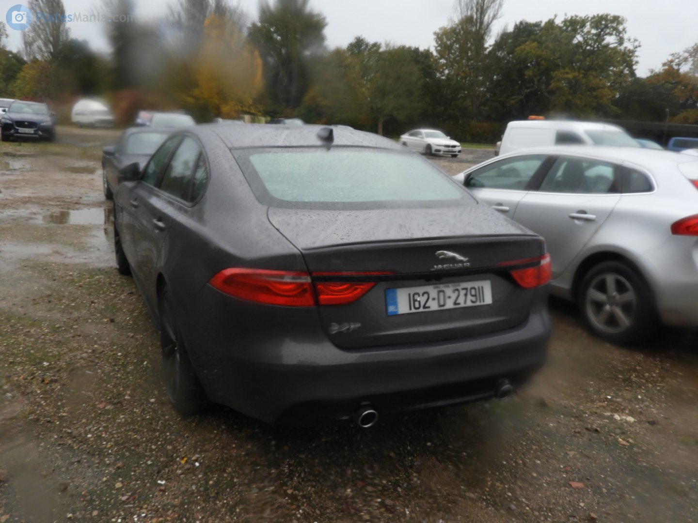 162-D-27911, Jaguar XF 2nd gen Sedan (X260), 2015–2024