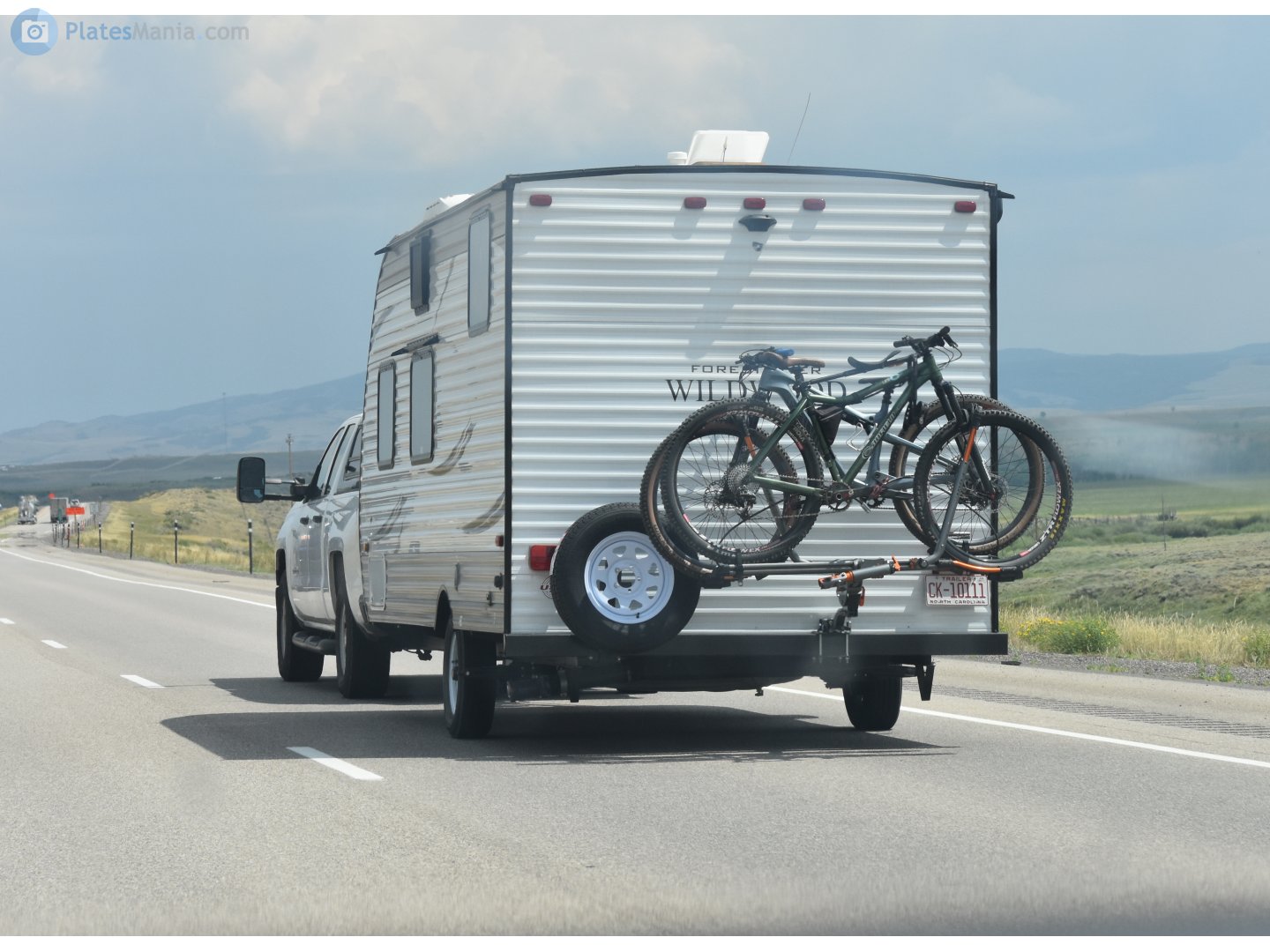 CK-10111, Forest River Wildwood 