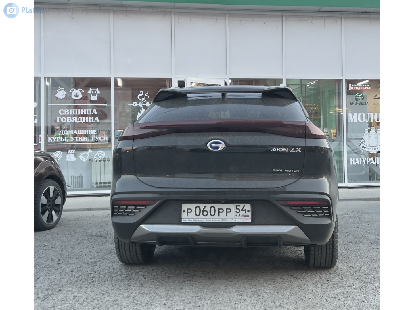 р 060 рр 54, Aion (GAC NE) LX 1st gen, 2019–