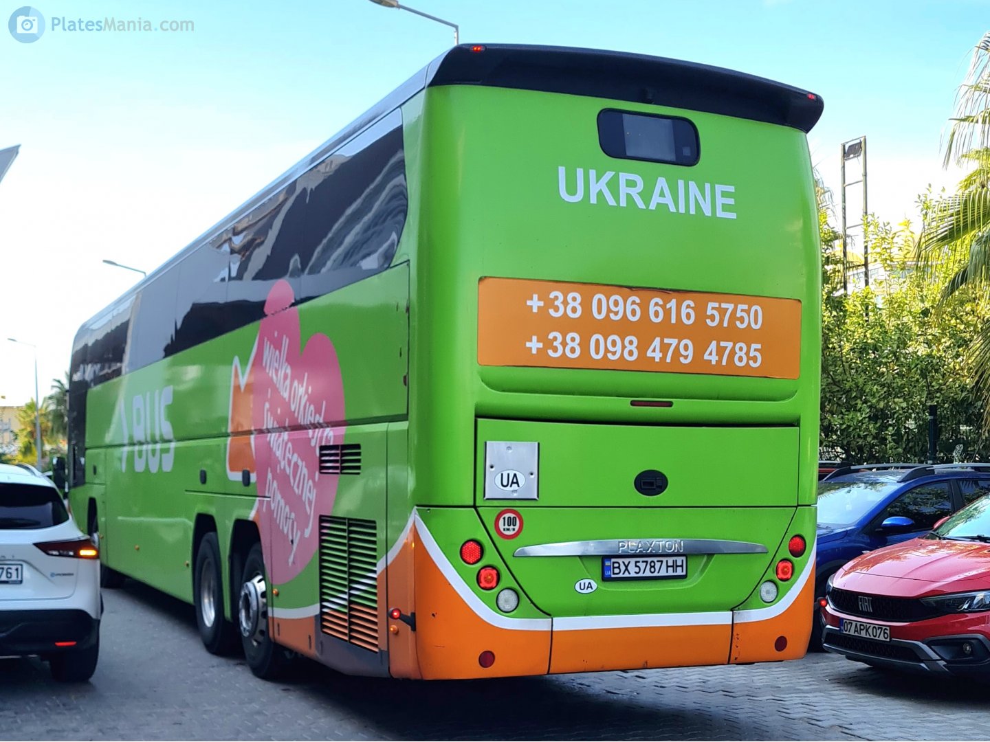 BX 5787 HH, Plaxton Elite 