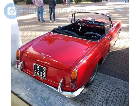 TR 24403, FIAT 1200