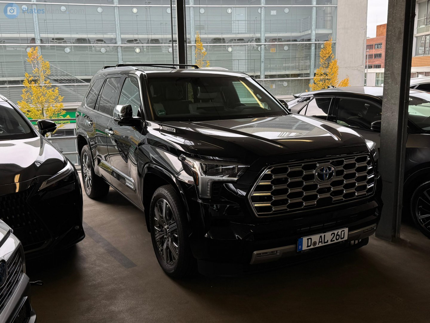 D AL 260, Toyota Sequoia 3rd gen (XK80), 2022–