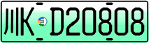 License plate of China, Electric vehicles