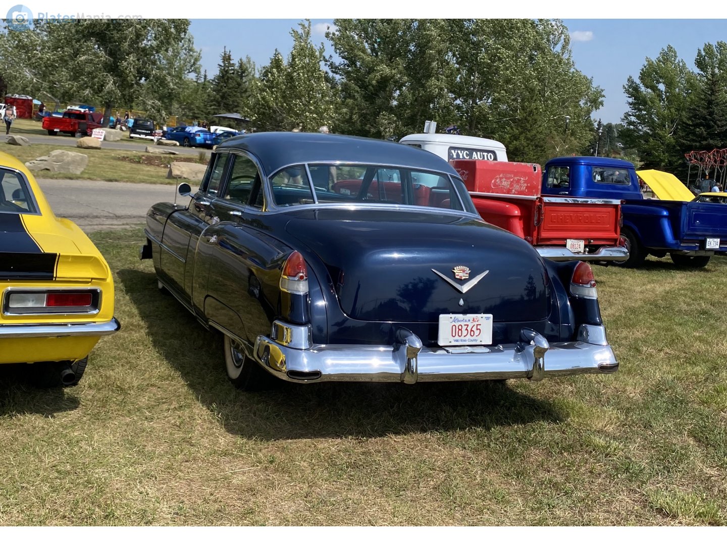 08365, Cadillac Sixty Special 4th gen (6019; C-body), 1949–1953