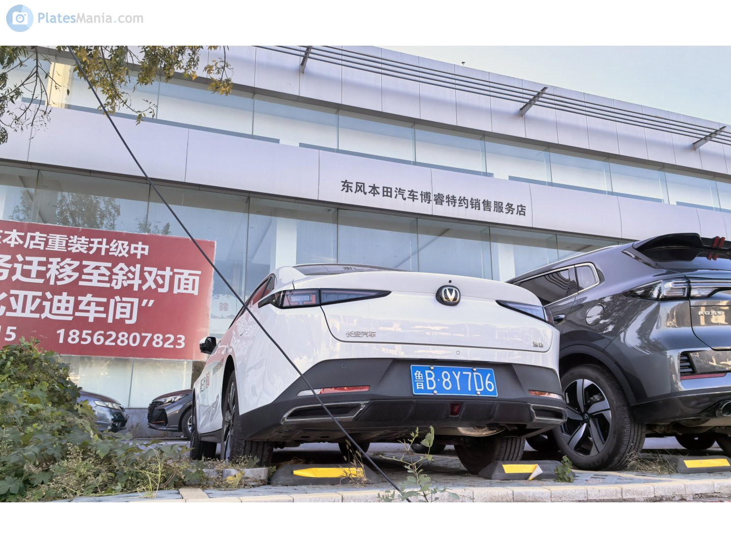鲁B·8Y7D6, Changan (Chana) Eado 3rd gen Plus (CN-market), 2024–