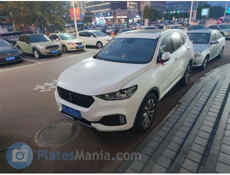 鲁J·ZB261, WEY VV6