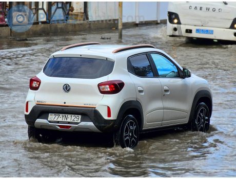 77 YN 129, DongFeng Fengshen EX1
