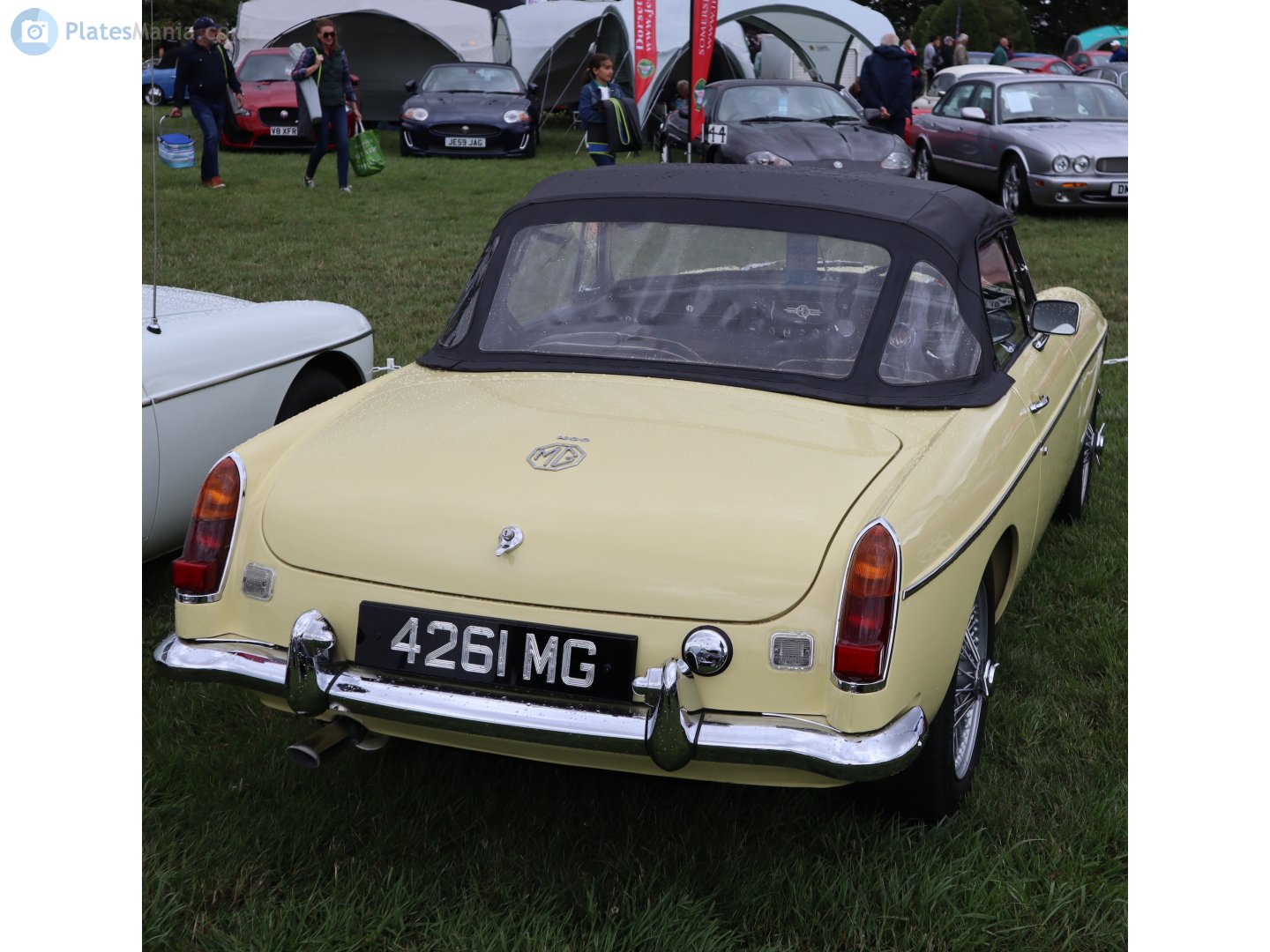 4261MG, MG C 