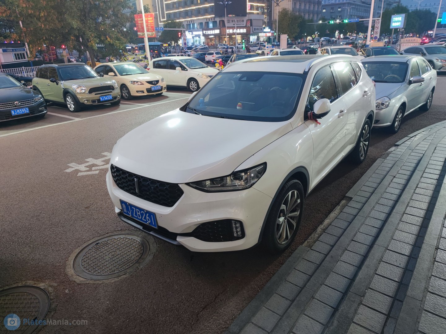 鲁J·ZB261, WEY VV6 