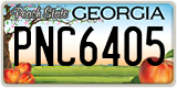 Georgia, ABC 1234