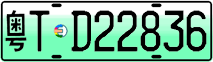 License plate of China, Electric vehicles