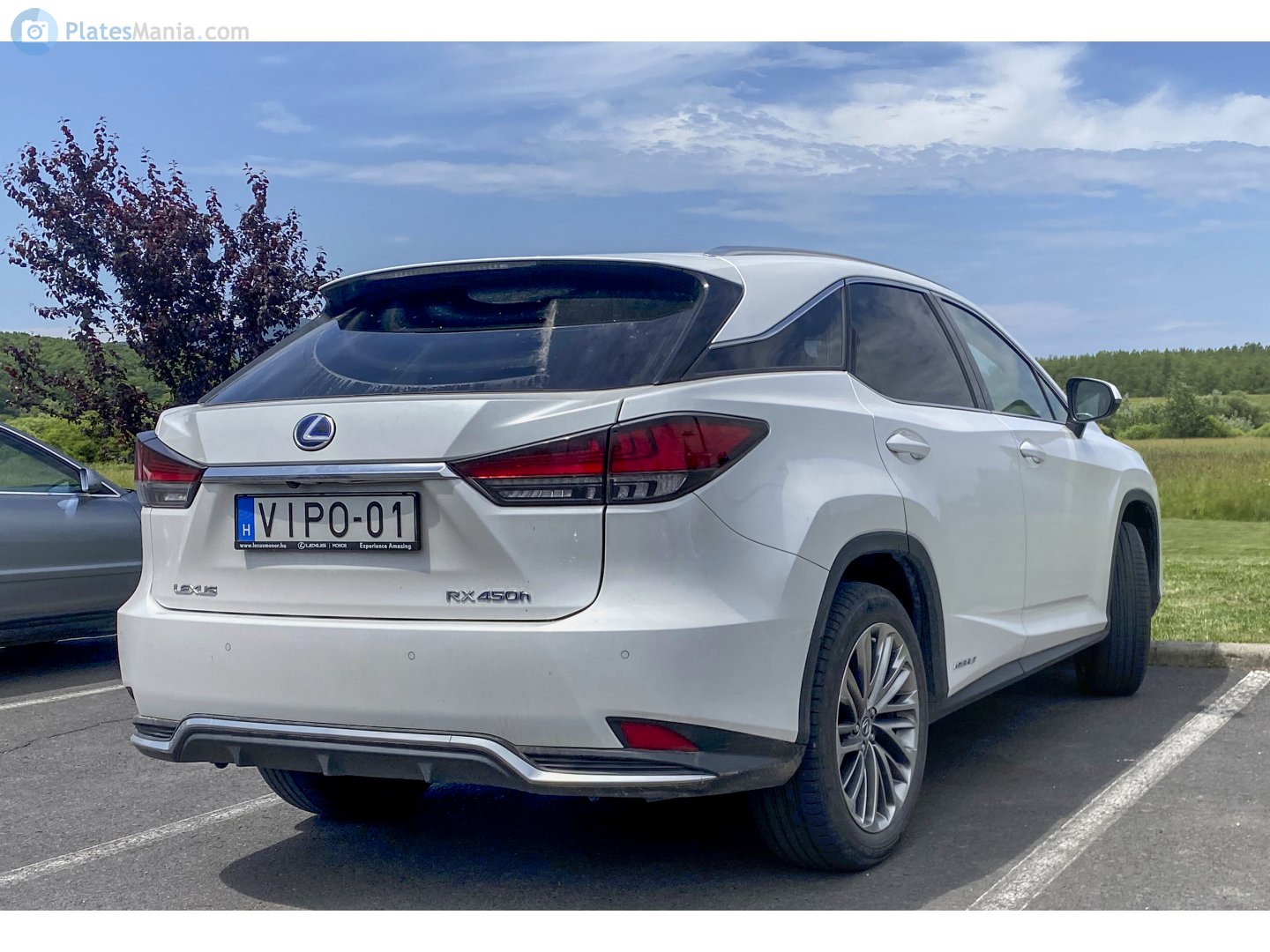 VIPO-01, Lexus RX 4th gen (AL20), 2015–2019