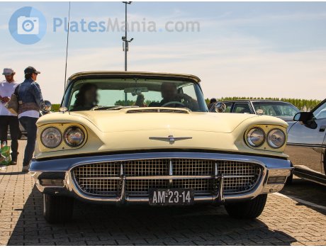 AM-23-14, Ford Thunderbird