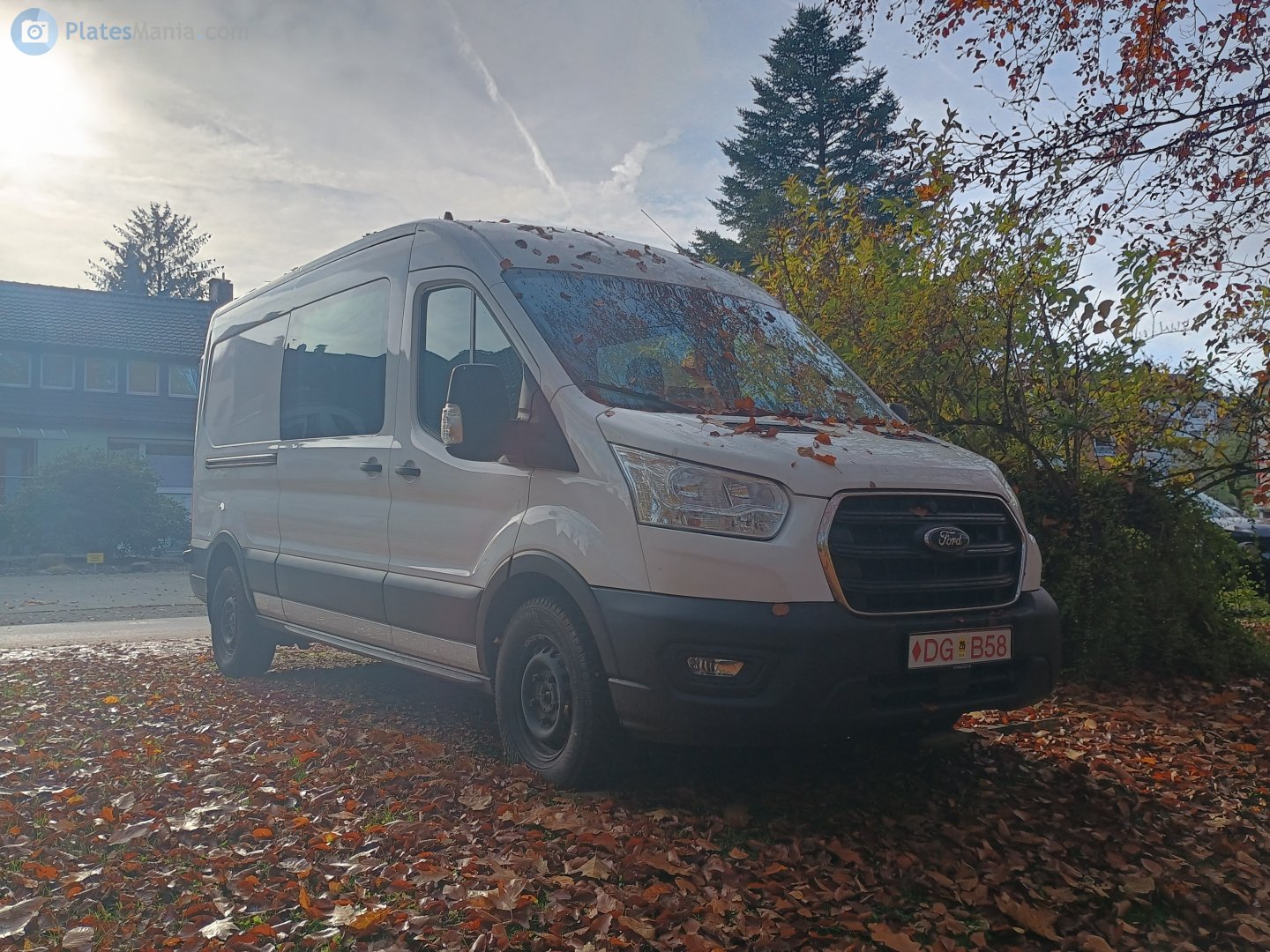 DG B58, Ford Transit 4th gen Van (V363), 2013–