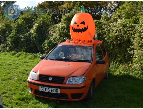 GT06 EOR, FIAT Punto