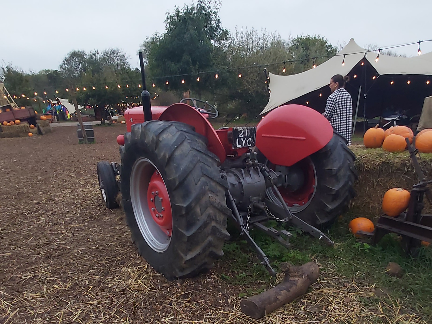 21LYC, Massey Ferguson 60-Series 