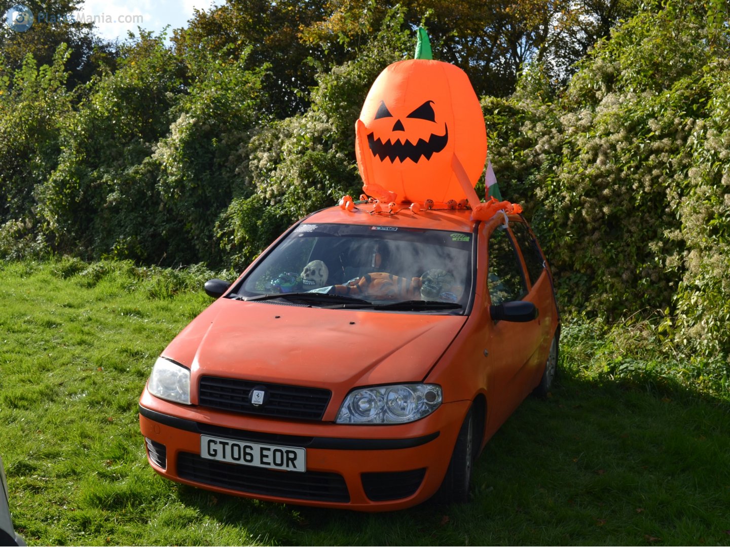 GT06EOR, FIAT Punto 2nd gen (Classic) 3-door Hatch (188), facelift, 2003–2010