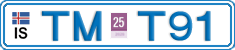 TM T91