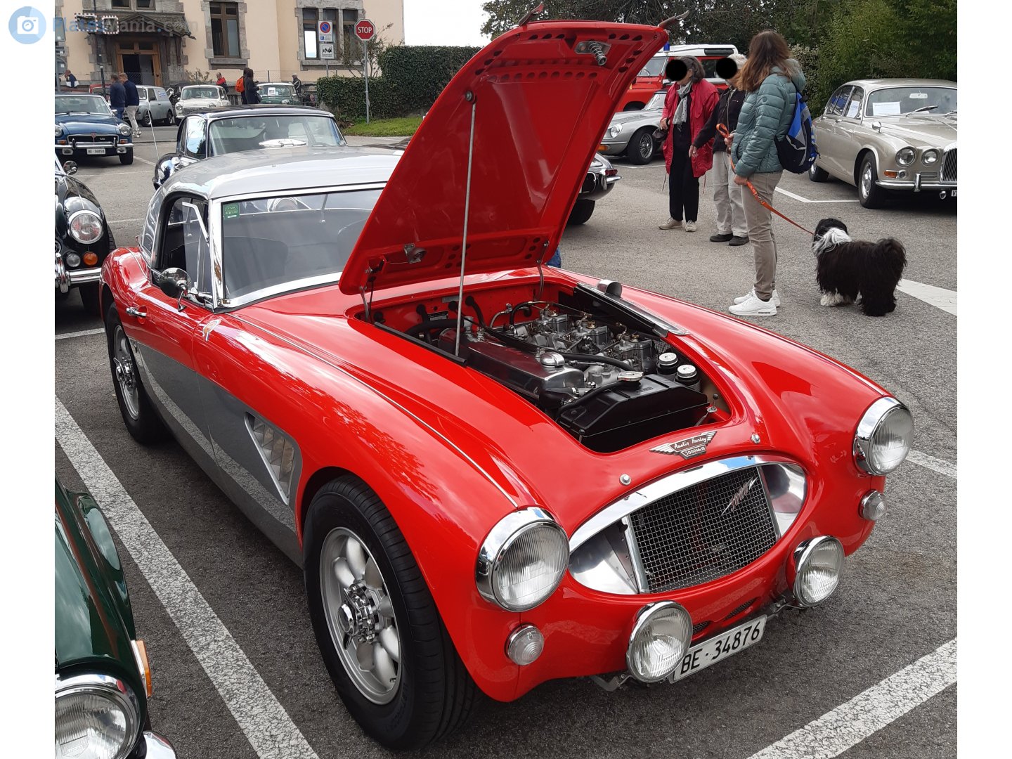BE 34876, Austin-Healey 100/3000 