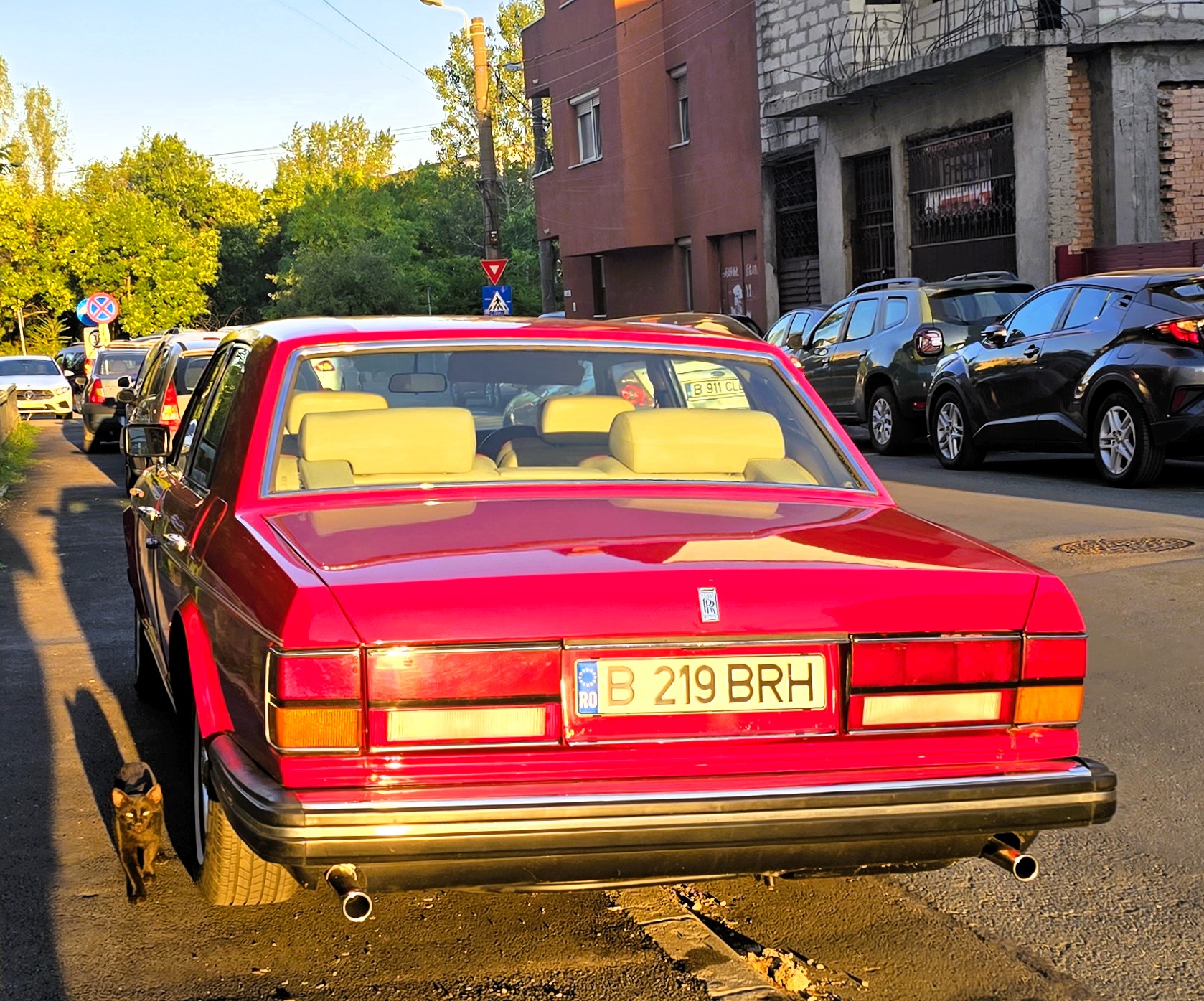 B 219 BRH, Rolls-Royce Silver Dawn 