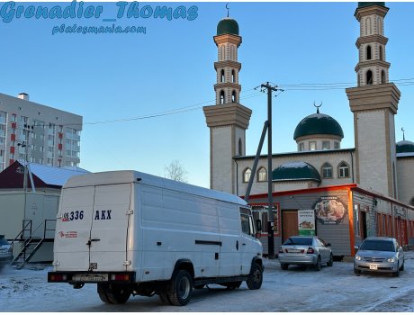 06 336 AKX, Mercedes-Benz T2