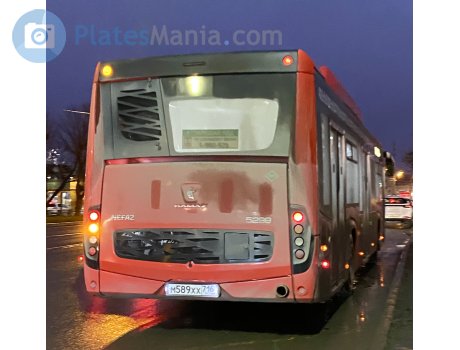 м589хх716, NefAZ (NZAS) 5299