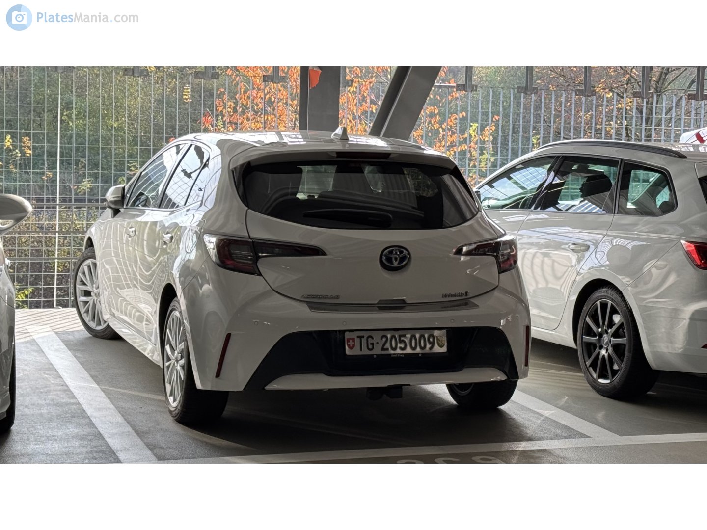 TG 205009, Toyota Corolla 12th gen Hatch (E210), 2018–