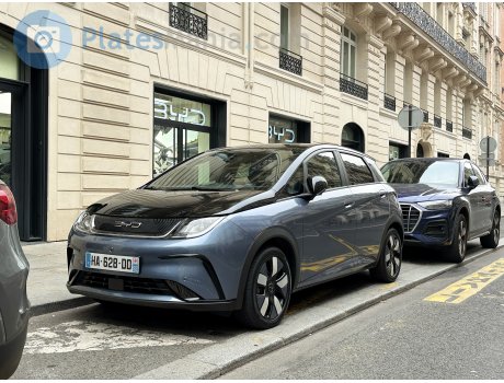 HA-628-DD, BYD Dolphin / Haitun