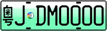 License plate of China, Electric vehicles
