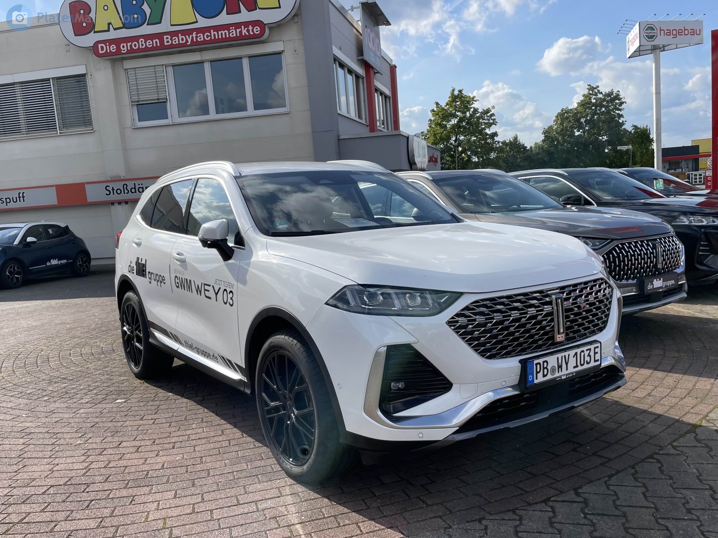 PB WY 103 E, WEY Natie (Latte) 