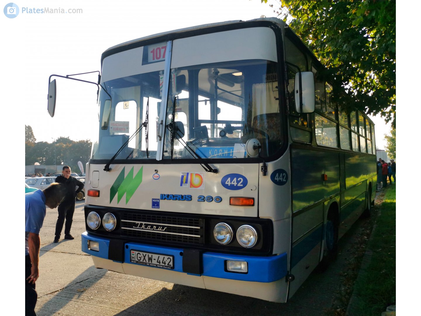 GXW-442, Ikarus 260 