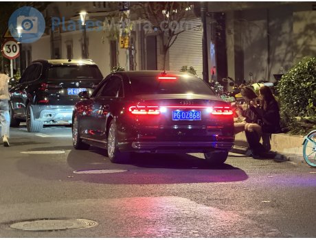 沪G·DZ868, Audi A8