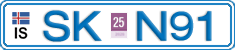 SK N91