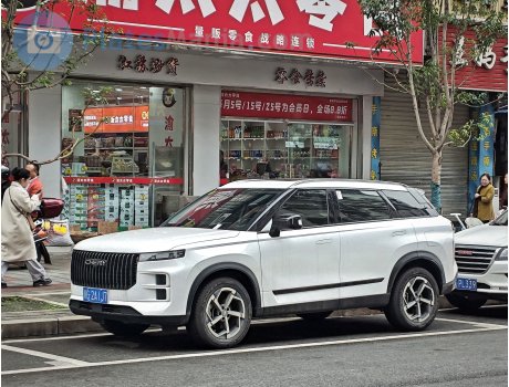 川G·2A1J7, Chery (Chirey) Tansuo 06